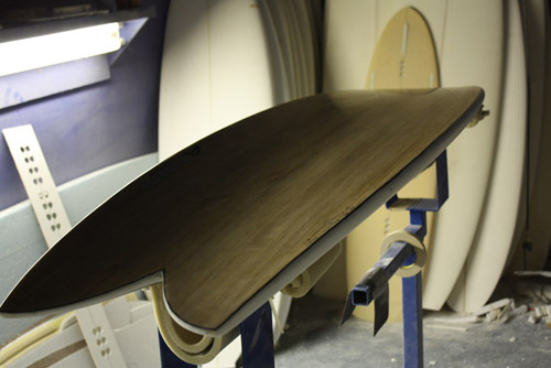 Finless-Revolution-Header-1